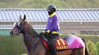 【ヴィクトリアＭ】兄はＧ１・３勝エフフォーリア　ジョスランＧ１初勝利へ鹿戸調教師「東京は合っている」