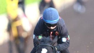 【ヴィクトリアＭ】Ｇ１初制覇へクイーンズウォークはパワフルな動き　西村淳也騎手「一週一週、状態も上がっています」