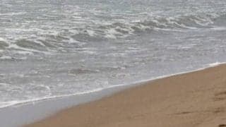 豪州トップスプリンター受難...引退ピンチ！　海岸で運動中にまさかの出来事が...動物病院へ搬送される事態に　