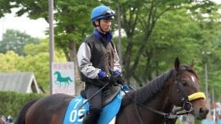 【新潟大賞典】武豊騎手で復帰のシュガークンはソフト仕上げ　清水久調教師「あとは（休養期間）２年というところですね」