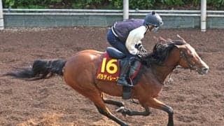 【ヴィクトリアＭ】軽快なリズムで登坂！パラディレーヌが反撃ムード　千田調教師「土曜日もラスト１１秒台で動いていたし...」