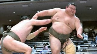 東海大柔道部出身の岡田　自身初の連敗スタート　元十両の変化に屈し「いい勉強です」