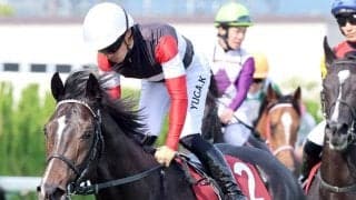 【注目馬動向】セレクト５・９億円馬エムズビギンは日本ダービー目指す　除外なら同日の白百合Ｓへ