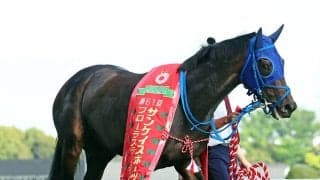 【注目馬動向】オークス向かうラフターラインズが美浦トレセン帰厩　重賞初制覇のフローラＳを「素晴らしい脚を...」と小笠調教師