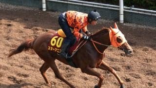 【オークス・１週前】桜花賞馬スターアニスはスピード感抜群の脚取り　高野調教師「さらにいいコンディションになっている...」