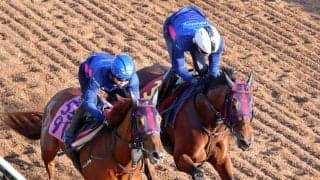 【ヴィクトリアＭ】２５年牝馬２冠馬に死角なし！エンブロイダリー坂路で絶好の動き　森一誠調教師も「いい動きだった」と好感触