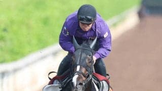 【ヴィクトリアＭ】坂路でパワフル！カムニャックの筋骨隆々ボディー　女王返り咲きへ馬体の成長がマイル適性高める