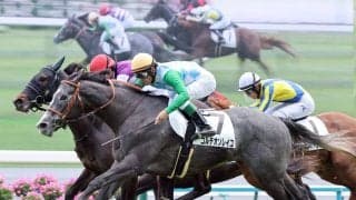 【注目馬動向】５月９日の１勝クラスを勝利したコルテオソレイユはラジオＮＩＫＫＥＩ賞へ