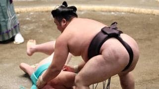 「ヒヤッとする内容」も…大関霧島が落ち着いた相撲で４連勝　全勝は若隆景、琴栄峰の３人のみに