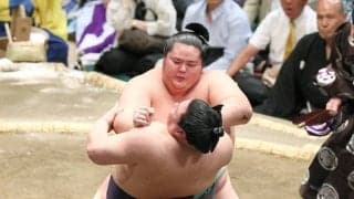 大関・琴桜、朝稽古中に人助けしていた「普通のこと」用水路で脱輪の自動車を佐渡ケ嶽部屋の力士８人がかりで救出