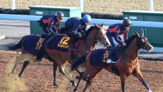 【ヴィクトリアＭ】今週もレーン旋風だ！チェルヴィニアと初コンタクトに「非常に乗りやすかった」　操作性に高評価