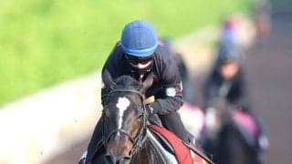 【ヴィクトリアＭ】新コンビ西村淳也騎手とクイーンズウォークは息ピッタリ！　３週連続騎乗し「１週、１週状態も上がっています」