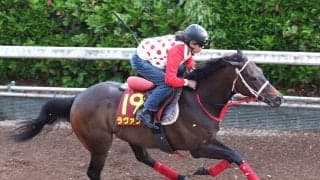 【ヴィクトリアＭ・トク捜リレー】やればいくらでも動くのに…大事な１週前追い切りを手控えたラヴァンダの「攻めない勇気」が怖い