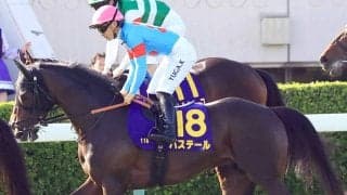 【注目馬動向】報知杯弥生賞Ｖバステールは引き続き川田将雅騎手と日本ダービーへ　皐月賞１１着から巻き返し狙う