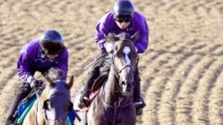 【オークス・１週前】桜花賞９着から巻き返しを図るドリームコアは１馬身先着　萩原調教師「全体的に良かった」