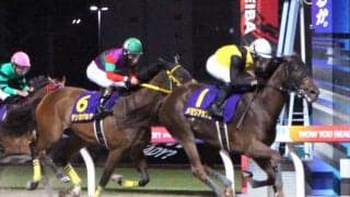 【エンプレス杯】ルメール騎手レース前から確信！？「勝つ自信がありました」　スタート後手もメモリアカフェが強烈末脚でＶ　