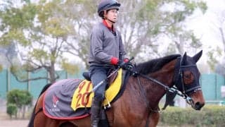 【エンプレス杯】重賞初制覇を狙ったプロミストジーンは４着　武豊騎手は敗因に距離を挙げ「短い方がいいかもしれない」と分析