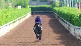 【ヴィクトリアM・ヤマタケが見た】千六ボディーでカムニャック、女王エンブロイダリーに勝つ
