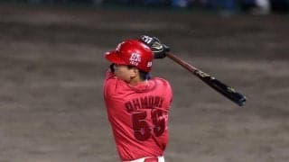 広島・大盛　大勢撃ち２号！八回１死待望の一時同点弾　クールな男が力強くガッツポーズ　守備でも外野陣統率して存在感