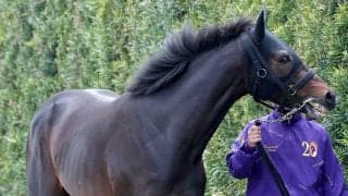 【注目馬動向】重賞２勝馬ショウヘイは札幌記念へ　友道調教師「合うと思います」　大阪杯１０着から巻き返し狙う