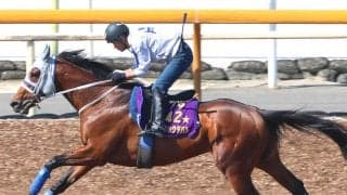 【注目馬動向】メイショウタバルが帰厩後初時計　武豊騎手と宝塚記念の連覇目指す