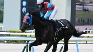 【京都HJ出走馬・騎手確定】ネビーイーム＆小牧加矢太騎手、シホノスペランツァ＆高田潤騎手など6頭