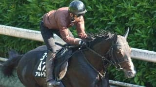【日本ダービー・２週前】皐月賞１８着からの巻き返しへ上々の気配　アルトラムスに野中調教師は「リズム良く走れていた」と納得