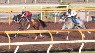 【オークス・１週前】原優介騎手も笑顔で絶賛「ベリーグッドです」　フラワーＣ勝者スマートプリエールが１馬身半先着　