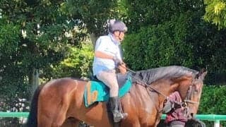 【ＰＯＧ】国枝栄厩務員が担当の２歳馬トゥザファイナルが６・１４東京デビューへ　「恥をかかすわけにはいかない」と小島調教師