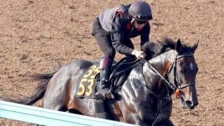 【日本ダービー・２週前】皐月賞５着から逆襲へフォルテアンジェロが切れのある動き　上原佑調教師「あの内容ならダービーでも」