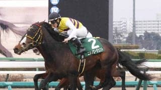 ２５年京成杯の覇者ニシノエージェントが競走馬登録を抹消　今後は地方に移籍へ