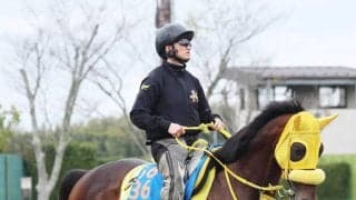 【注目馬動向】かしわ記念を制したウィルソンテソーロはさきたま杯への出走を視野　デビュー以来最短距離に挑戦
