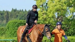 【ヴィクトリアＭ】マピュースは上々の雰囲気　追い切り翌日は運動のみで陣営「特に変わらず来ています」