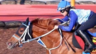 【オークス・１週前】「すごく乗りやすかった」ジュウリョクピエロは今村聖奈騎手とＣＷコースで余裕たっぷりに１１秒１