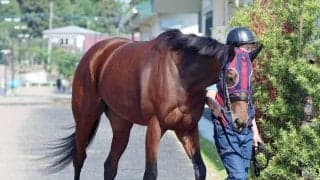 【ヴィクトリアＭ】３つ目のＧ１タイトルを狙うエンブロイダリーは引き運動で調整　森一調教師「活気もあります」