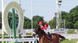 園田競馬ファンの穴党には受難の日　全１２レースで万馬券出ず　単勝１００円台の馬が６勝で２度の元返し
