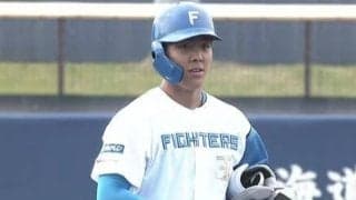 日本ハム・柴田獅子が勝ち越しの適時二塁打　エドポロケインが7号ソロ…14日のパ2軍