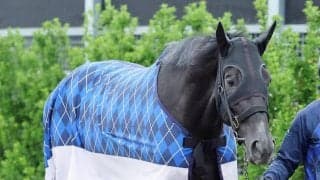 【日本ダービー・２週前】皐月賞１２着から巻き返し狙うゾロアストロが２頭併せ　宮田調教師「息遣いがまだ本物では」