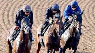【ダービー】上原佑厩舎３頭併せ　ライヒスアドラー伸び脚目立つ　グリーンエナジーとゴーイントゥスカイも軽快なフットワーク　２週前追い切り　