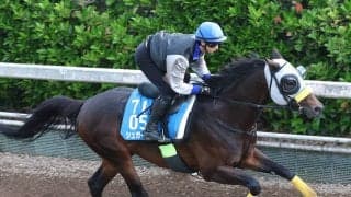 【新潟大賞典・枠順確定】キタサンブラックの半弟シュガークンは武豊騎手と大外枠に　ルメール騎手のドゥラドーレスは４枠６番に決定