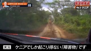 世界最速のラリー車に「キリンもびっくり」 レース実況の名手が選ぶ衝撃光景「競技よりも命」ドライバーの“粋な対応”も脚光