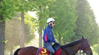 【ヴィクトリアＭ・金曜気配】活気あふれるエンブロイダリー　６枠１２番に森一調教師はルメール騎手と「相談して作戦を考えます」
