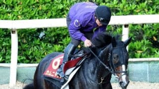 【ヴィクトリアＭ・金曜気配】４枠８番からＧ１・２勝目を目指すカムニャック　友道調教師も「グッと良くなっている」と納得