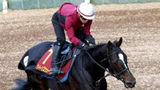【ヴィクトリアＭ・金曜気配】４枠７番に決定したクイーンズウォークは軽めの調整　陣営「今年も好レースを期待します」