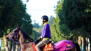 【ヴィクトリアＭ・金曜気配】ジョスランの状態は鹿戸調教師「坂路で元気いっぱい」　７枠１４番にも「極端な枠じゃないからね」と前向き