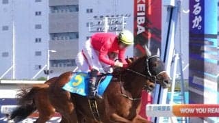 【川崎競馬】ブエンディアが２Ｒで川崎新馬戦一番乗り　３Ｒはロゴタイプのおいブラフキャッチがデビュー勝ち