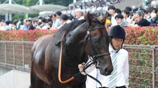 【注目馬動向】目黒記念で重賞初挑戦のウィクトルウェルス　鞍上は引き続きルメール騎手　シルク・ホースクラブが発表
