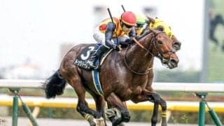 【今日の注目ポイント】新潟大賞典と京都HJの2重賞