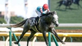 【新潟大賞典予想】直線勝負の名物ハンデ重賞 実績馬に試練の舞台