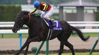 クロワデュノールが首位発進…宝塚記念ファン投票 第1回中間発表